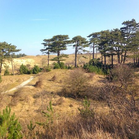B&B Noordzee-Kerstdeco-Sauna-Strand7Km-Kennemerduinen Driehuis ภายนอก รูปภาพ